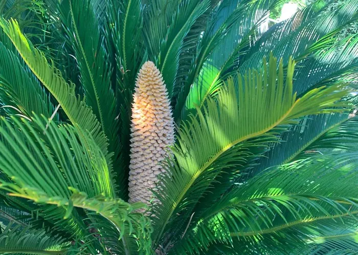 Au Calme A Bed & Breakfast *